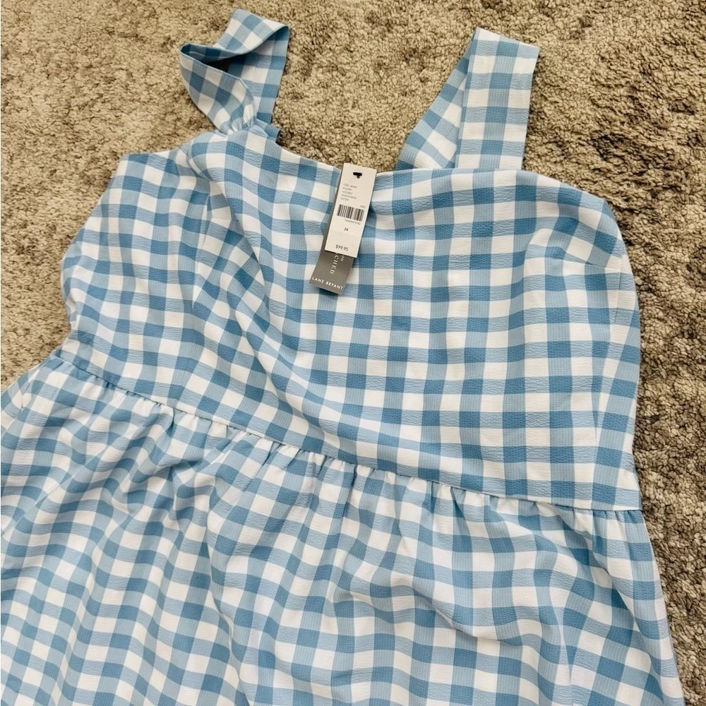 Women’s size 24 Lane Bryant dress